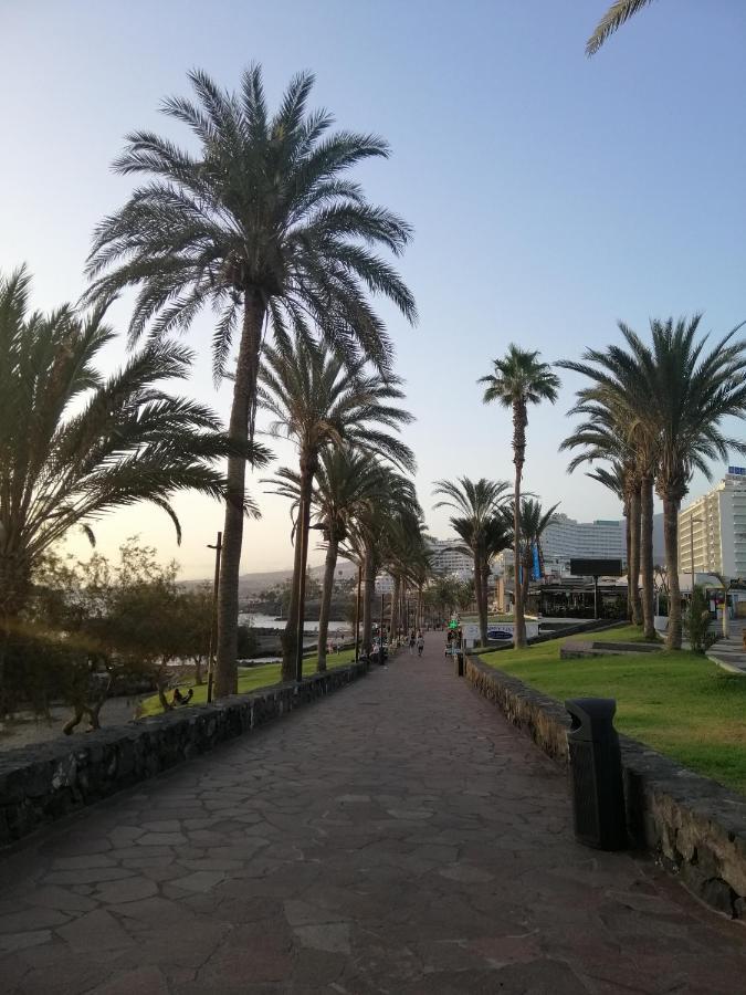 Сozy Apartment In Las Americas Playa Fanabe Luaran gambar